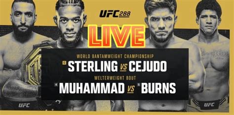 UFC 288 Live Results Sterling Vs Cejudo MMAWeekly UFC And MMA