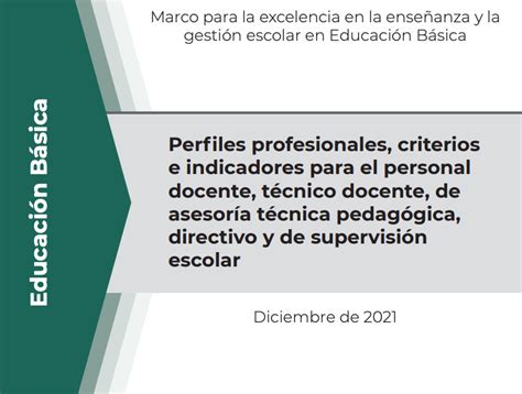 Perfiles Profesionales Criterios E Indicadores Para El Personal