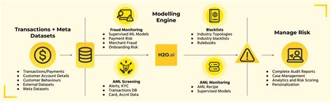 Monitoring Money Laundering With Ai H2oai