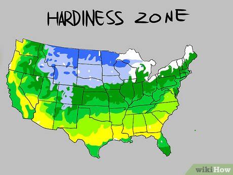 How To Understand Plant Hardiness Zones 9 Steps With Pictures