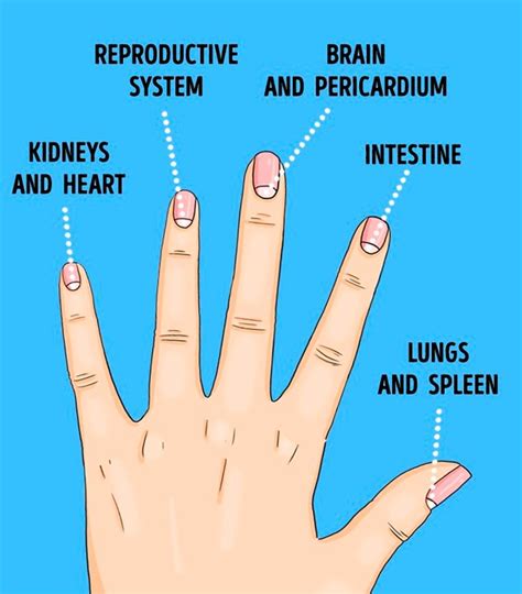 13 Health Problems the Moons on Your Nails Warn You About – Viral Content