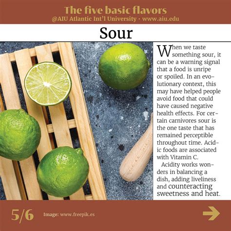 Savoring the Senses: The Five Basic Flavors - Atlantic International