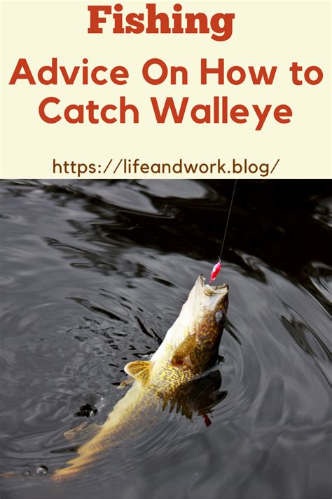 Advice On How to Catch Walleye