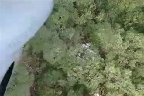 Imagens Mostram Destroços De Avião Que Caiu Na Serra Do Mar Veja Vídeo