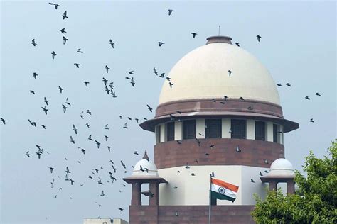 Tirupati Laddu Tirupati Laddus Row Supreme Court To Hear Pleas