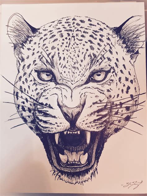 Jaguar Sketch! by sharnuyt on DeviantArt