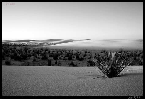 풍경 겔러리 White Sands Nat Monument