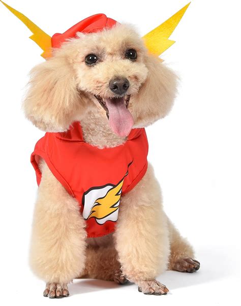 Superhero Dog Costumes and Ideas + Where to Buy Online!