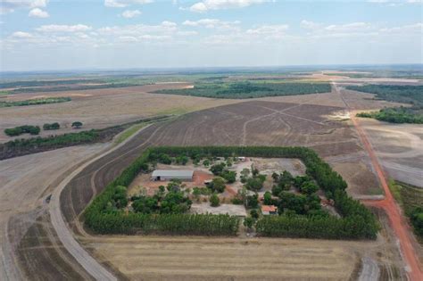 Fazenda A Venda Em Riach O No Maranh O Fazendas Mato Grosso