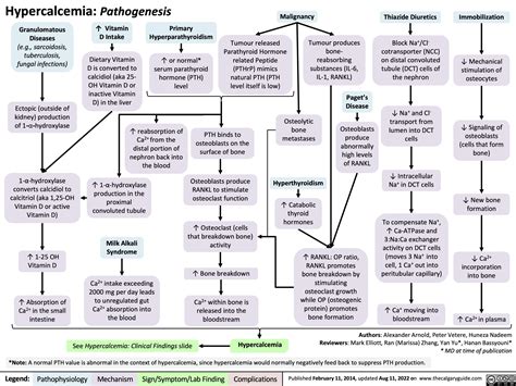 Hypercalcemia Pathogenesis Calgary Guide