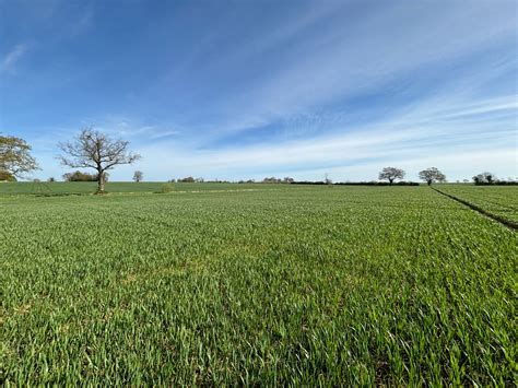 Drinkstone Nr Stowmarket C Clarke Simpson