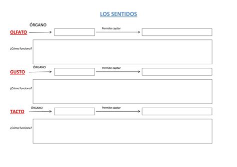 Esquema Olfalto Tacto Y Gusto By Sonia Fernandez Rodríguez Issuu