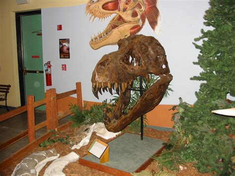 Grandkids Favorite place to go - Museum of Western Colorado: Dinosaur ...