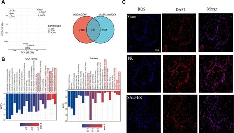 Frontiers Integrative Analysis Of Transcriptomics And Metabolomics