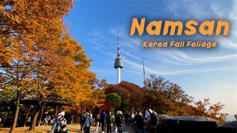 Namsan Tower Fall Foliage N Seoul Tower Korea Travel Your Korea