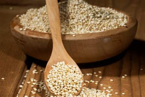 Do Birds Eat Quinoa Read This First Before Feeding