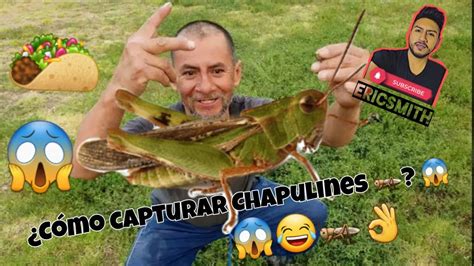 VIDEO TUTORIAL CÓMO ATRAPAR CHAPULINES ME AYUDA EL ESCUADRON