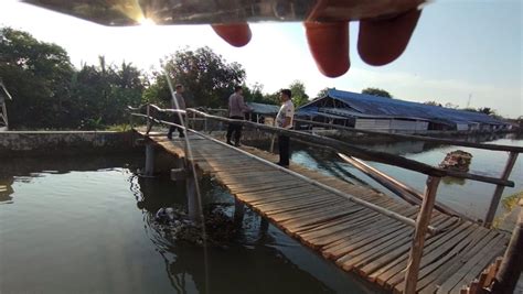 2 Bocah Terseret Arus Saat Berenang Di Sungai Sukareja Indramayu 1