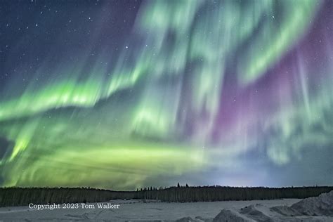 Aurora Chena Lakes, Alaska #2295 | Photo | Tom Walker Photographer