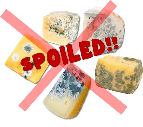 Cheese Crystals And Mold What You Need To Know For The Love Of Slice