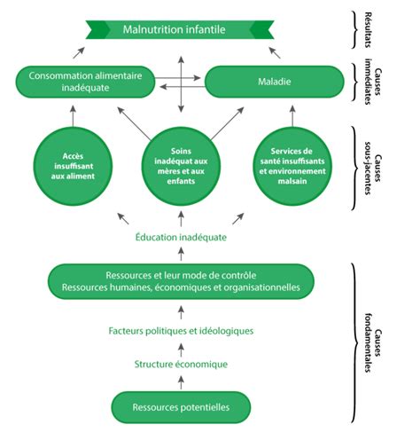 Les Causes De La Malnutrition Cndn