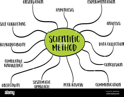 Infografía De Método Científico O Boceto De Mapa Mental Concepto De