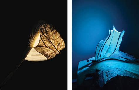 Bring Mesmerizing Light Sculpture into Your Home