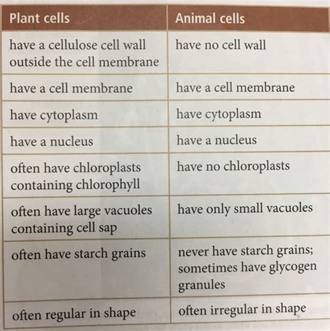 BIOLOGY AP Flashcards | Quizlet