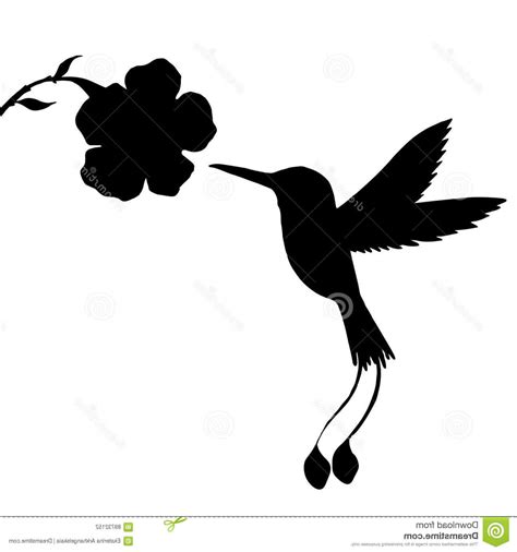 Hummingbird Silhouette Vector At Collection Of