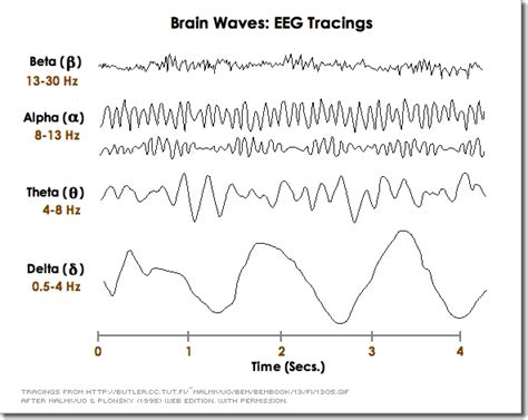 Sleep Stages And Brain Waves