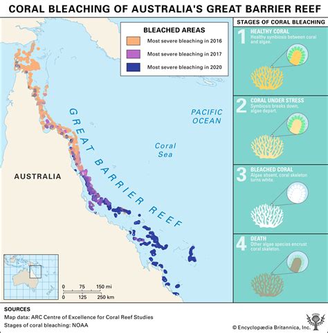 How and Where Coral Bleaching Is Affecting the Great Barrier Reef ...