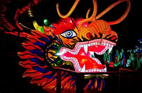 North Carolina Chinese Lantern Festival In Cary (10+ Tips!)