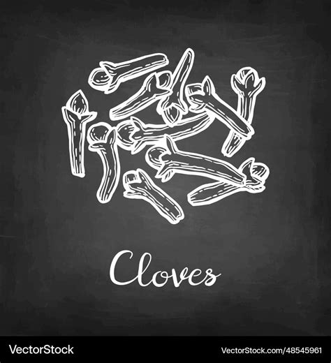 Clove herb chalk sketch Royalty Free Vector Image