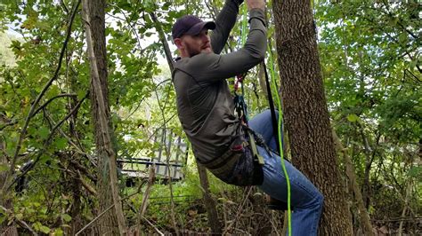 how to climb a tree with a saddle - Pearline Diggs