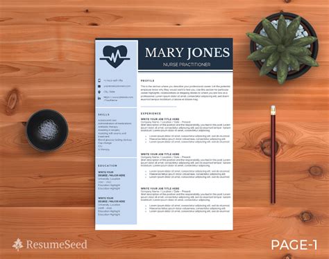 Chicago Resume Template Resumeseed