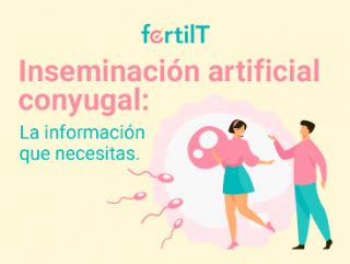 Inseminaci N Artificial Con Donante Qu Es Precios Y Proceso