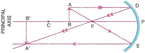 Draw A Ray Diagram To Show The Formation Of Image Of An Knowledgeboat