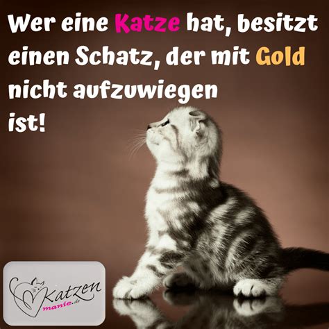 Katzenspr Che Lustige Weise Worte Ber Katzen