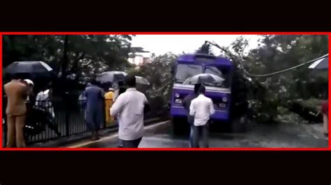 Watch Mumbai Rains Today Update Mumbai Met Department Warns Heavy