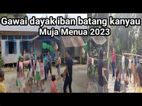 Gawai Dayak Iban Kalimantan Barat Ll Muja Menua 2023 YouTube