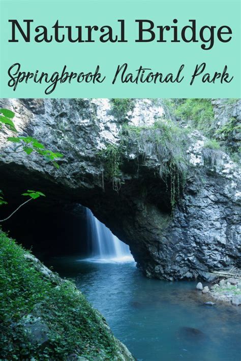 √ Natural Bridge Springbrook National Park Map