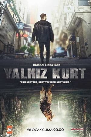 Одинокий волк 2022 Yalnız Kurt сериал информация о фильме