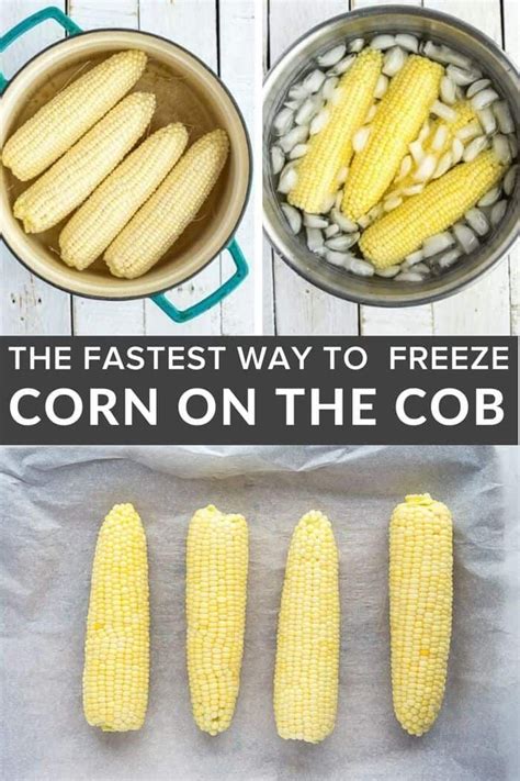 Freezing Corn On The Cob Is The Easiest Way To Preserve The Delicious Taste Of Summer Learn How