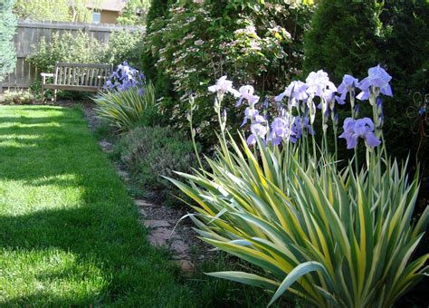 Decorative Garden Border Fencing For Beautiful Lawns | Garden Design Ideas