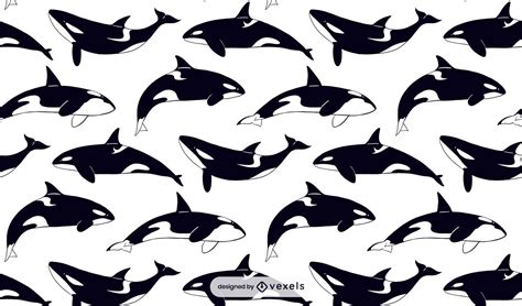 Whale Vector & Graphics to Download