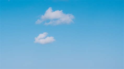 Lauren J — Bio Site