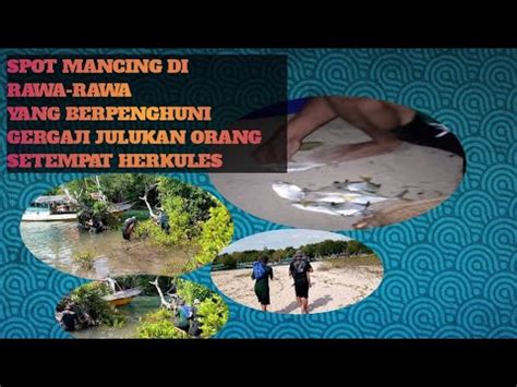 Mencari Spot Mancing Di Hutan Bakau Katewel Spot Youtube