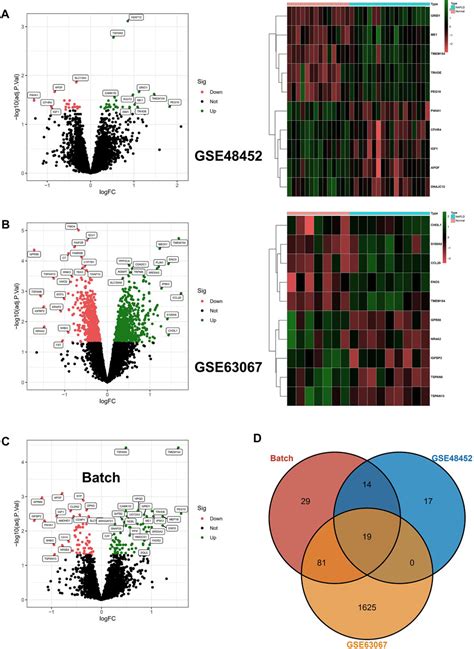 Frontiers Integrated Bioinformatics Analysis Identifies Robust