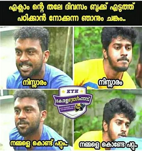 Pin By H On Troll Mallu Funny Facts Funny Joke Quote Funny Troll