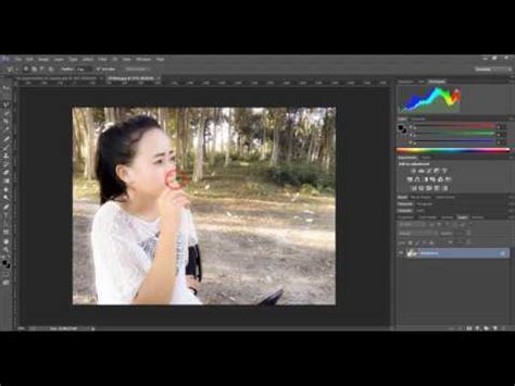 Qhia Txiav Duab Hauv Sony Vegas Pro 14 Photoshop YouTube